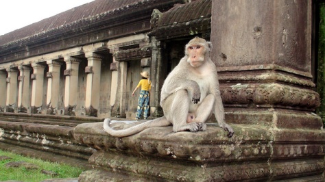 3 semanas en Indochina, Camboya, Laos y Vietnam - Blogs de Vietnam - Templos de Angkor (17)
