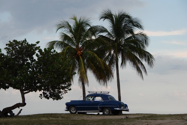 Varadero - Guamá - Bahia de Cochinos - Playa Larga -Varadero - Cuba - Habana - Varadero - Trinidad (17)