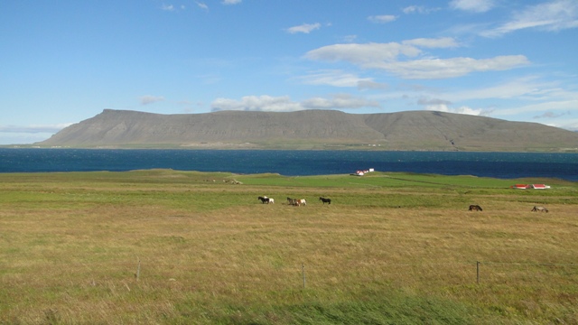 VUELTA A ISLANDIA EN 12 DIAS - Blogs of Iceland - Dia 2 - Hacia el Oeste, Cascada Glymur,Deildartunguhver,  Reykholt (2)
