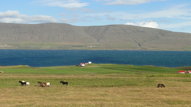 VUELTA A ISLANDIA EN 12 DIAS - Blogs de Islandia - Dia 2 - Hacia el Oeste, Cascada Glymur,Deildartunguhver,  Reykholt (1)