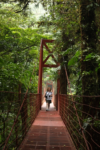 Monteverde - Paruqe Nacional - Canopi - Tram - Costa Rica y extensión a New York 15 dias (5)