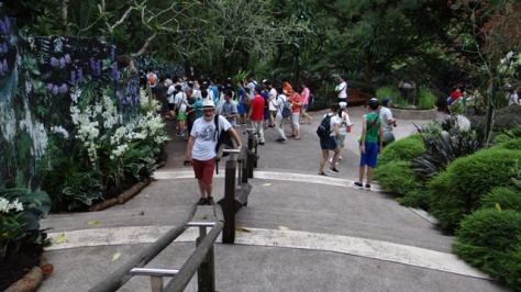 Tercer dia en Singapur, Jardin Botanico, Casas Peranakan y Merlion Park - Singapur en tres días y medio (1)