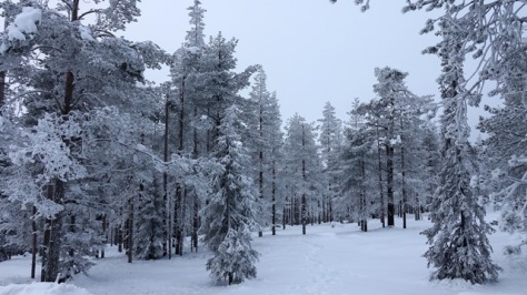 Viaje a LAPONIA FINLANDESA en 11 Días - Blogs de Finlandia - Preparación del viaje totalmente por nuestra cuenta (3)