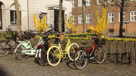 4 DÍAS EN COPENHAGUE - Blogs de Dinamarca - Stroget - Canal de Nyhavn - Palacio Amalienborg - La Sirenita (4)