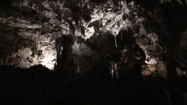 ESLOVENIA – LIUBLIANA - Blogs de Eslovenia - Opatija - Cuevas de Postonia (Eslovenia) y Llegada a Liubliadna (6)