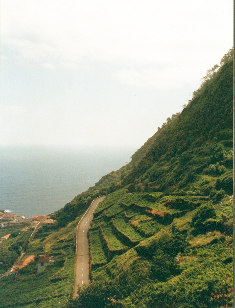 Ribeirá Brava – Sao Vicente – día 4 - Madeira, Azores (Isla San Miguel) y Lisboa (13)