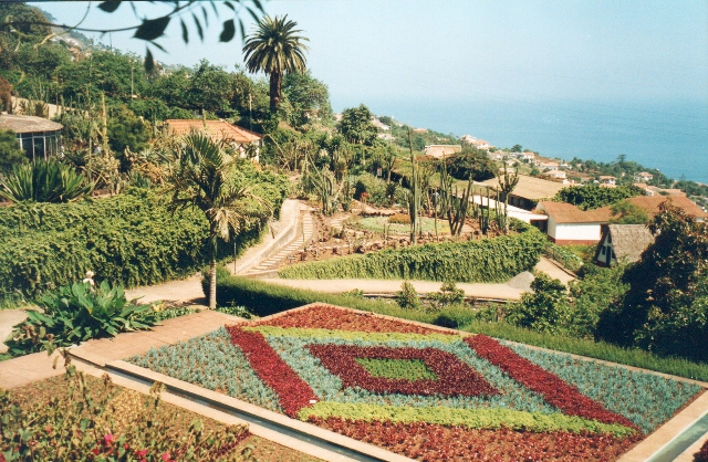 Madeira, Azores (Isla San Miguel) y Lisboa - Blogs de Portugal - Funchal – Miradores – Monte – día 3 (10)