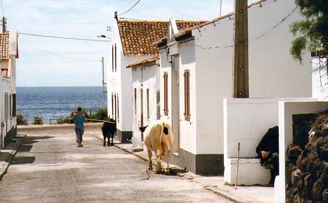 Oeste de la Isla – día 10 - Madeira, Azores (Isla San Miguel) y Lisboa (8)