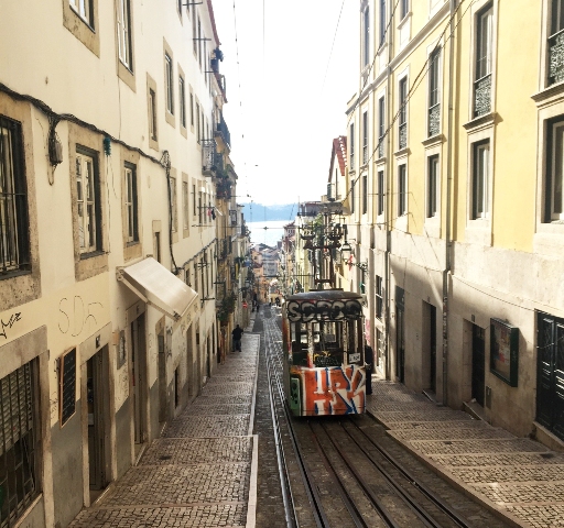 Madeira, Azores (Isla San Miguel) y Lisboa - Blogs de Portugal - Vuelo y visita a Lisboa – día 13 (7)