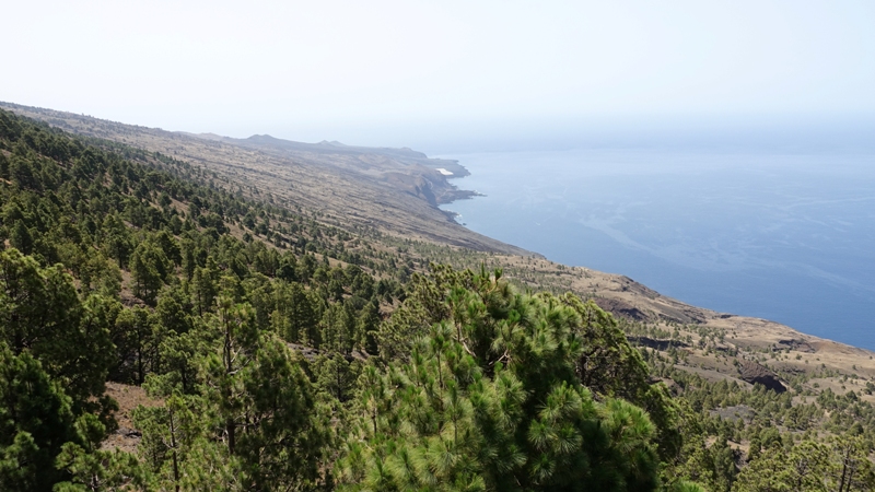 El Hierro (Islas Canarias) - Blogs de España - Día 2 – La Llanía | Mirador El Julan | Faro de Orchilla (9)