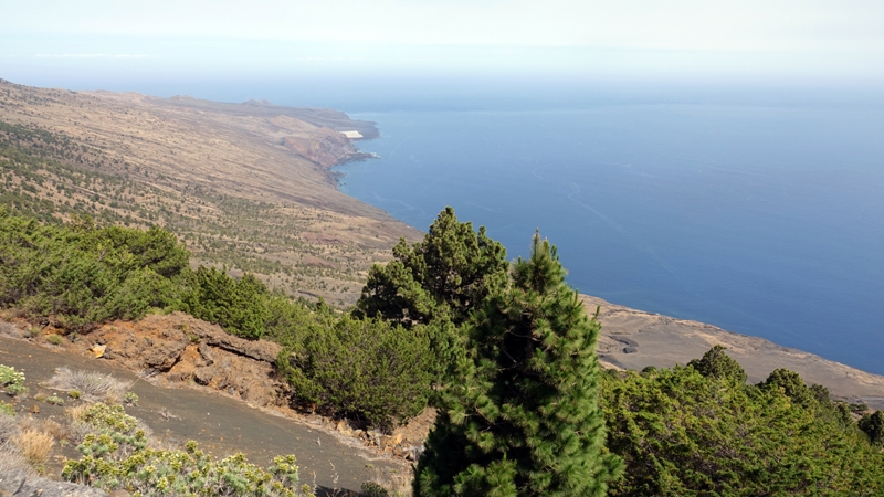 El Hierro (Islas Canarias) - Blogs de España - Día 2 – La Llanía | Mirador El Julan | Faro de Orchilla (22)