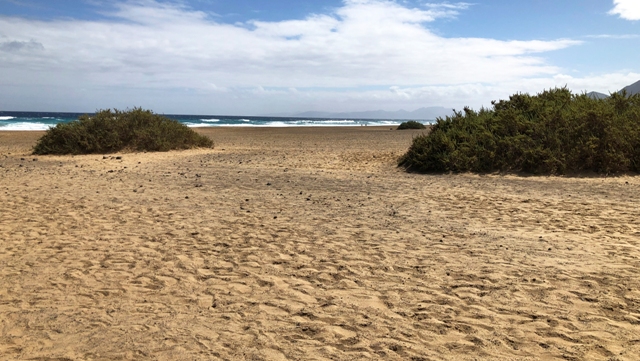 Fuerteventura en 5 días - Blogs of Spain - Punta Jandía | Playa de Cofete | Morro Jable (8)